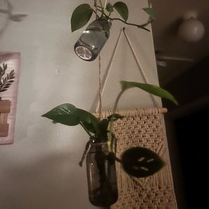 Meet your Posher, Hailee